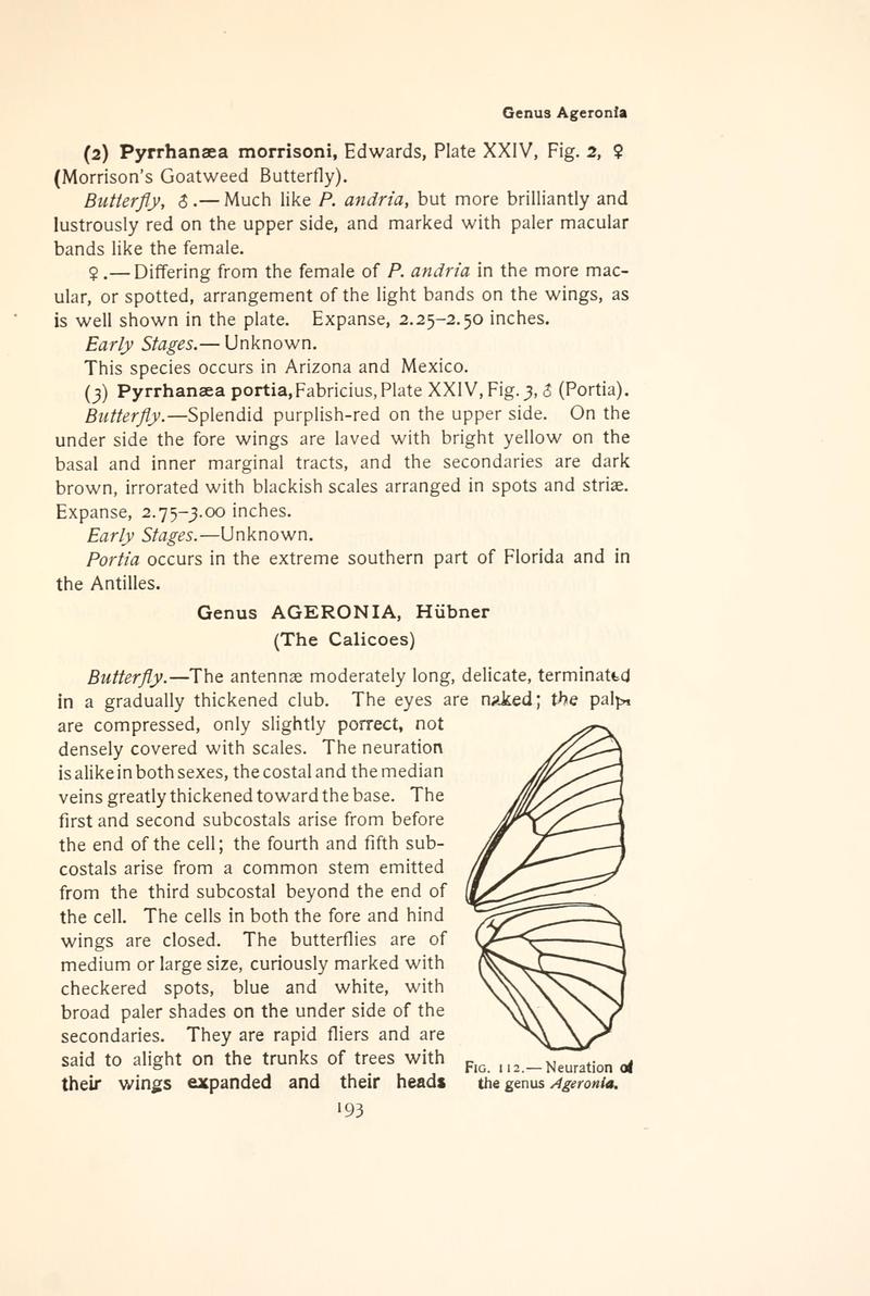 The butterfly book (Page 193, Fig. 112) BHL4428530