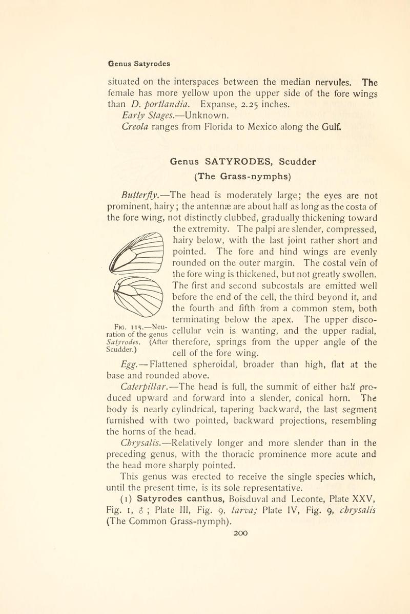 The butterfly book (Page 200, Fig. 115) BHL4428541