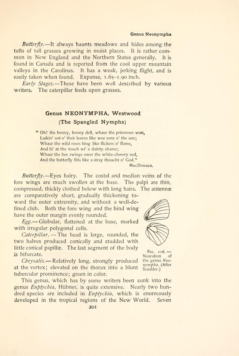 The butterfly book (Page 201, Fig. 116) BHL4428542