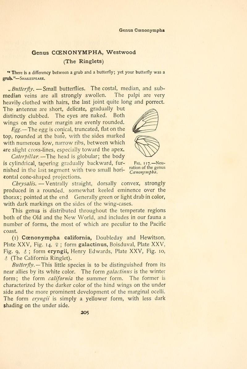 The butterfly book (Page 205, Fig. 117) BHL4428550
