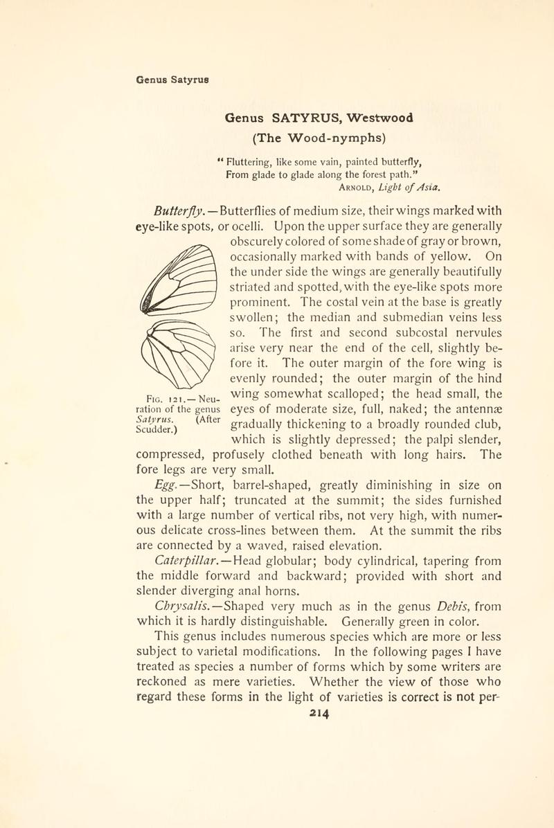 The butterfly book (Page 214, Fig. 121) BHL4428559