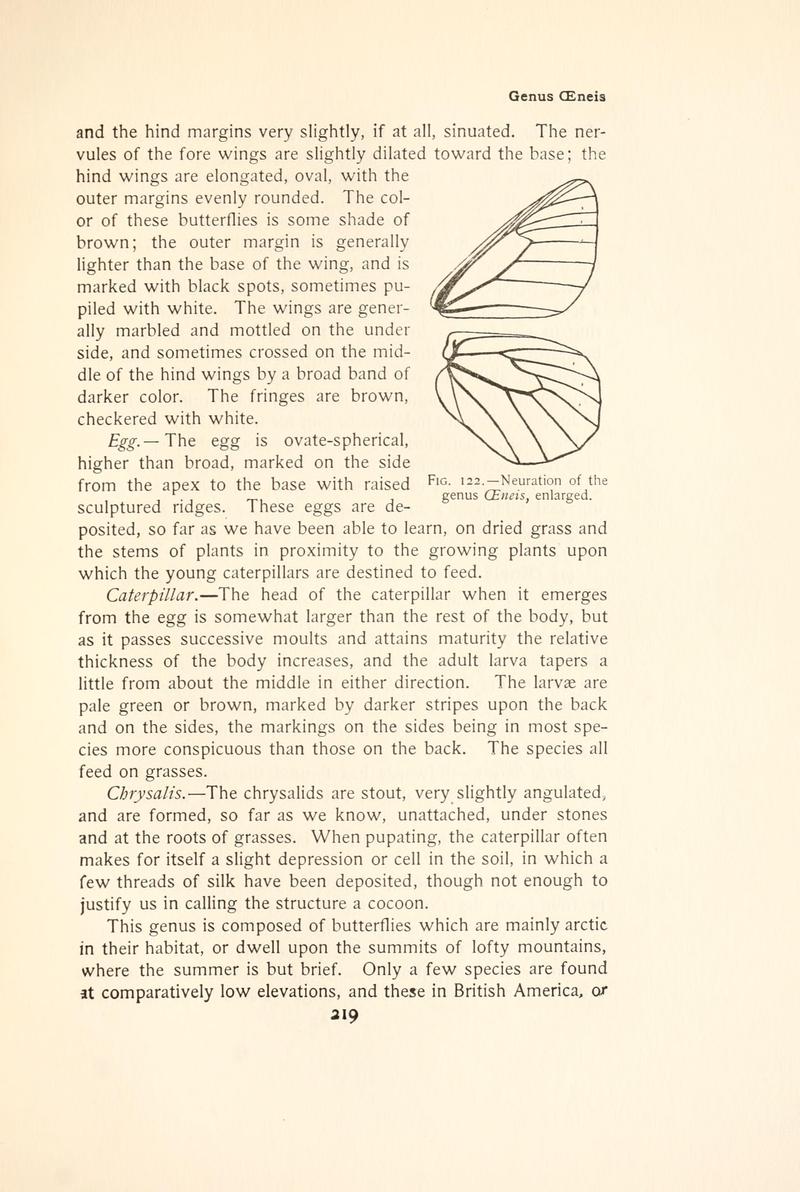 The butterfly book (Page 219, Fig. 122) BHL4428568
