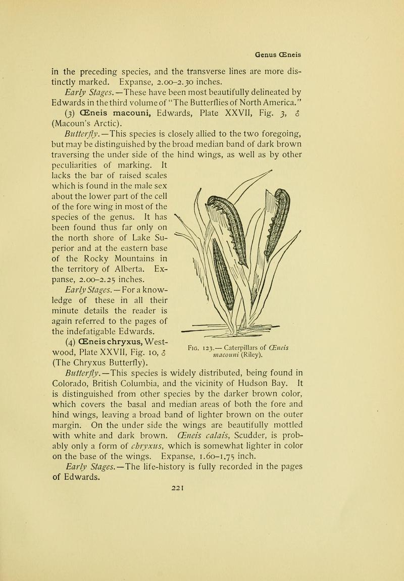 The butterfly book (Page 221) BHL10081305