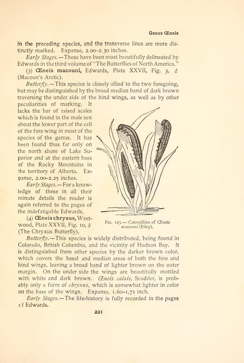 The butterfly book (Page 221, Fig. 123) BHL4428574