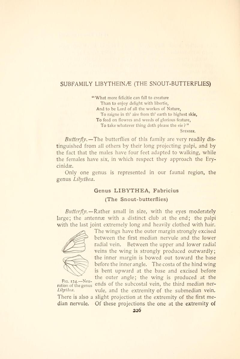 The butterfly book (Page 226, Fig. 124) BHL4428600
