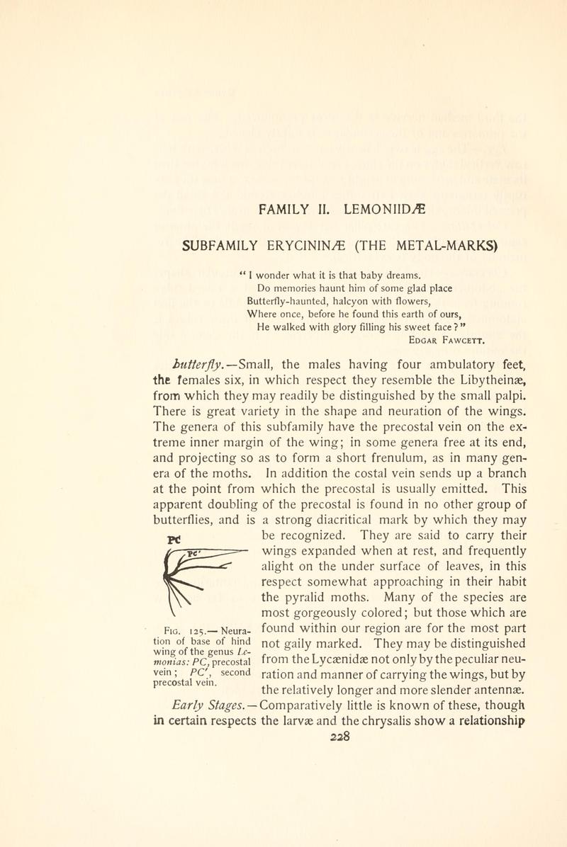 The butterfly book (Page 228, Fig. 125) BHL4428602