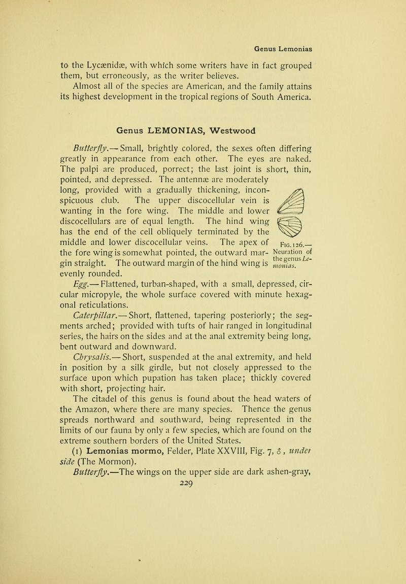 The butterfly book (Page 229) BHL10081317
