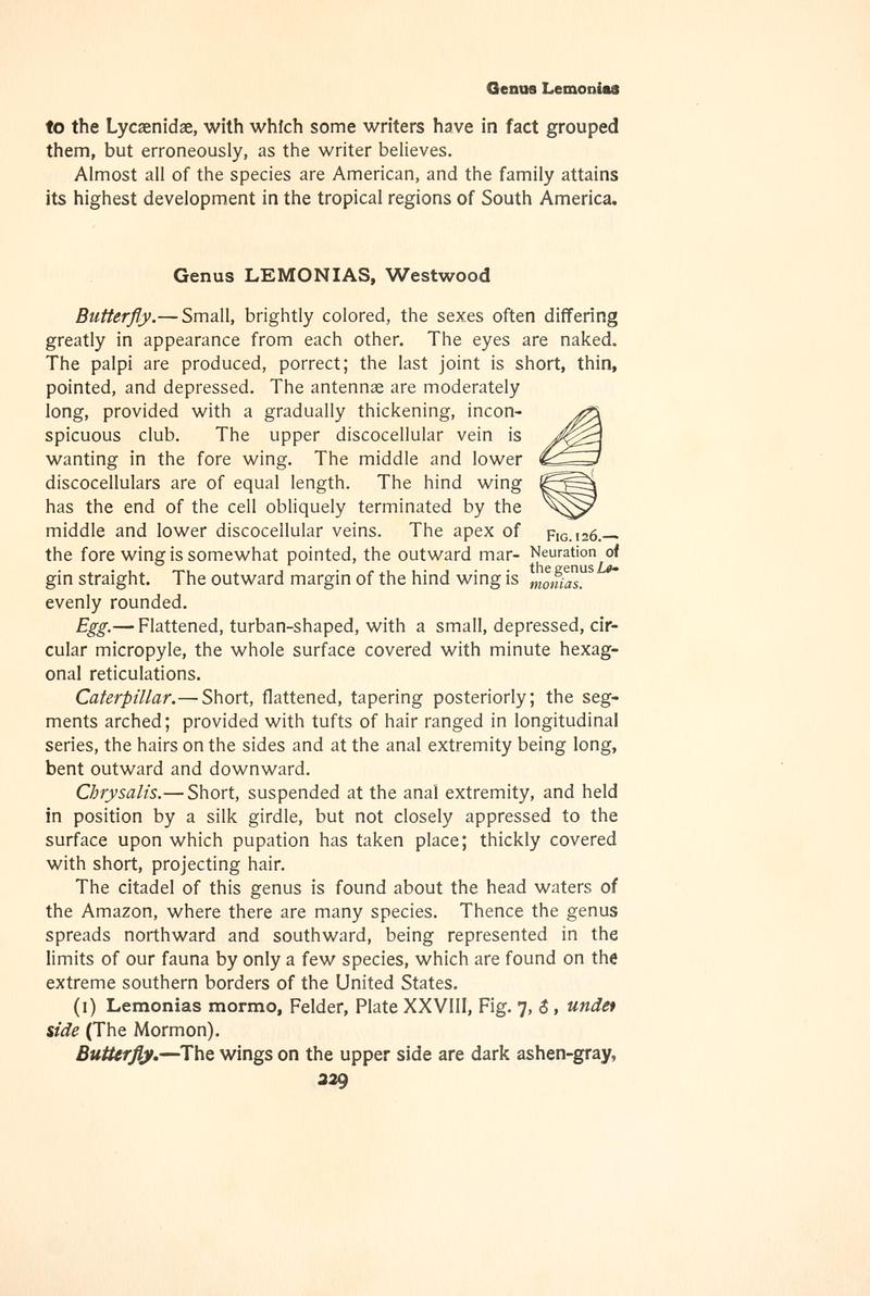 The butterfly book (Page 229, Fig. 126) BHL4428607