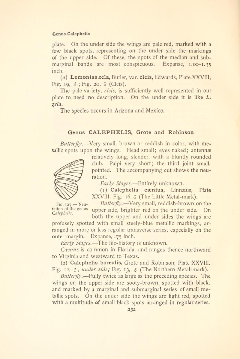 The butterfly book (Page 232, Fig. 127) BHL4428610