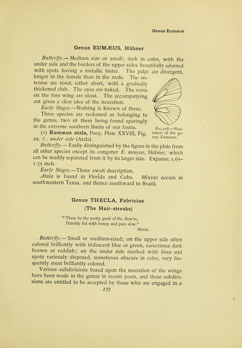 The butterfly book (Page 237) BHL10081329