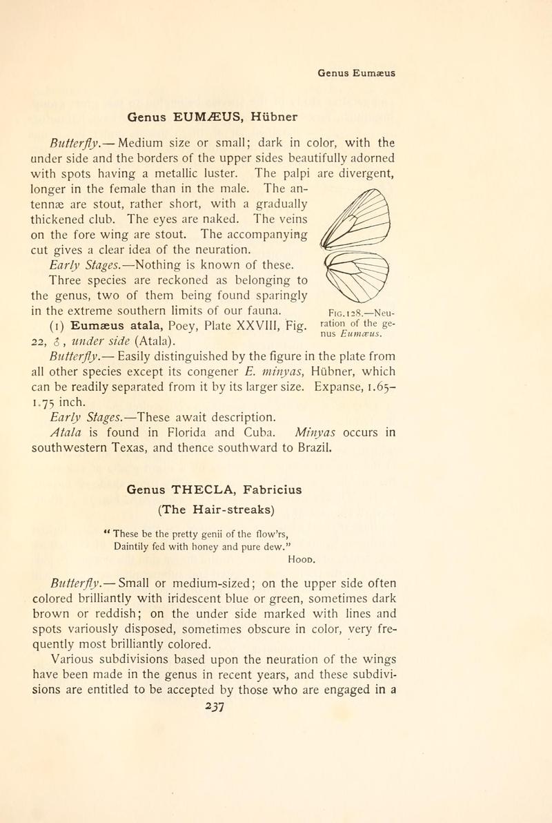 The butterfly book (Page 237, Fig. 128) BHL4428633