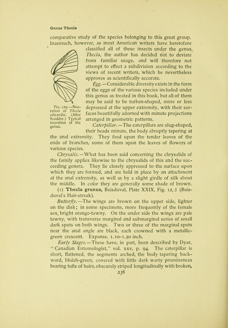 The butterfly book (Page 238) BHL10081330