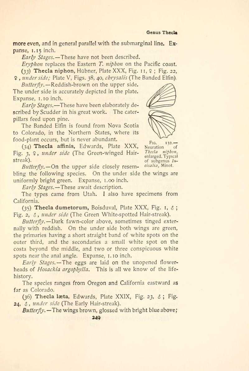 The butterfly book (Page 249, Fig. 132) BHL4428656