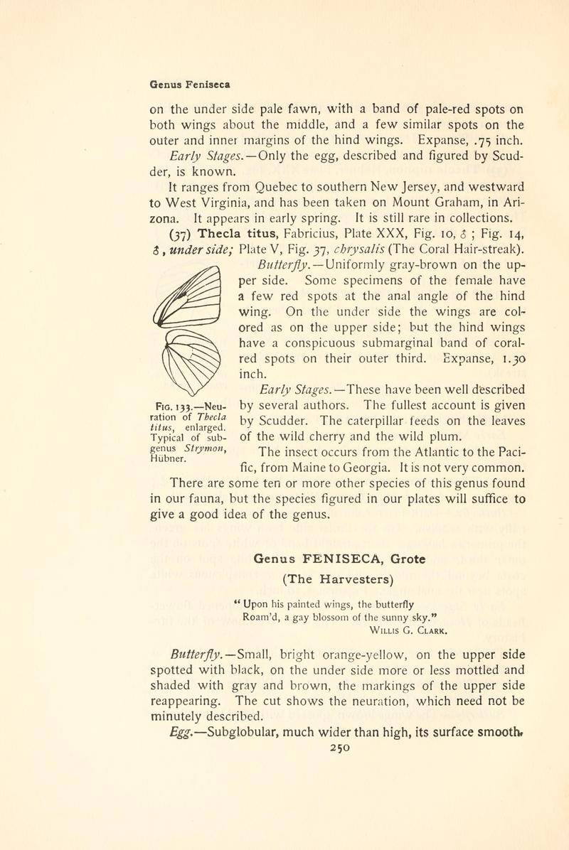 The butterfly book (Page 250, Fig. 133) BHL4428657