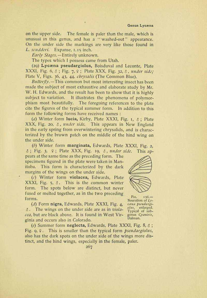 The butterfly book (Page 267) BHL10081371