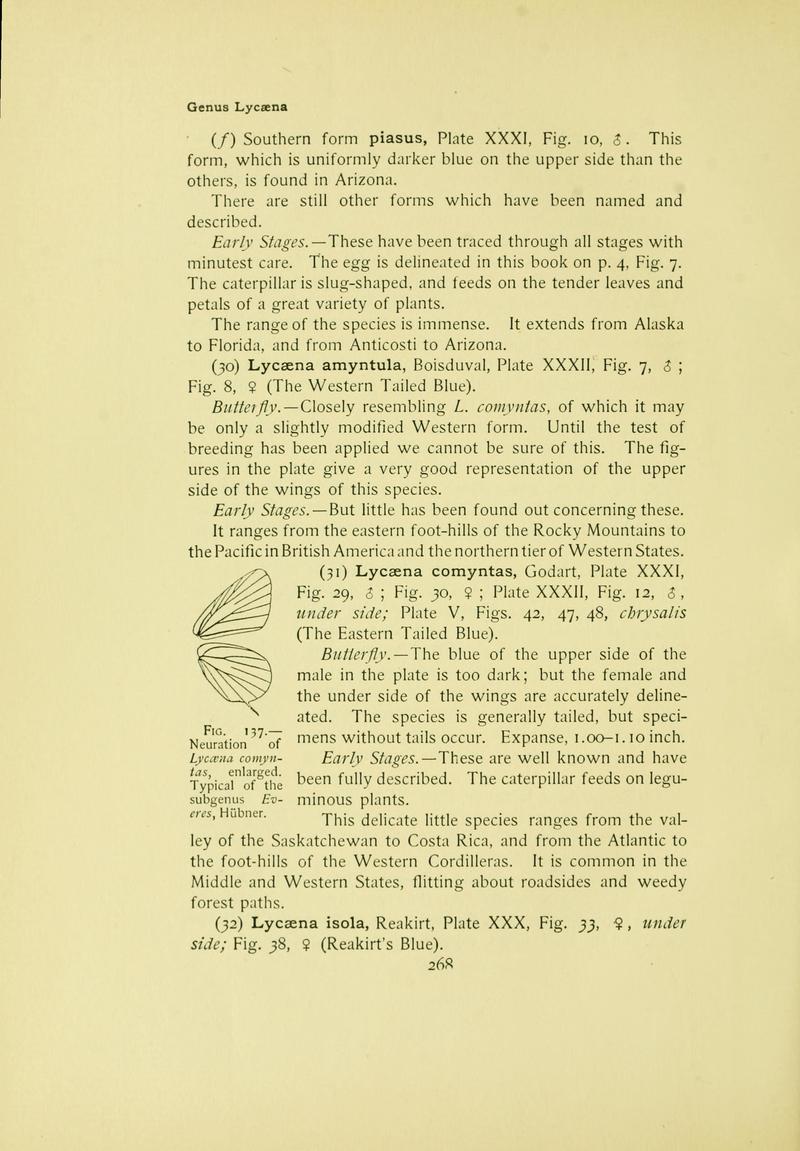 The butterfly book (Page 268) BHL10081372