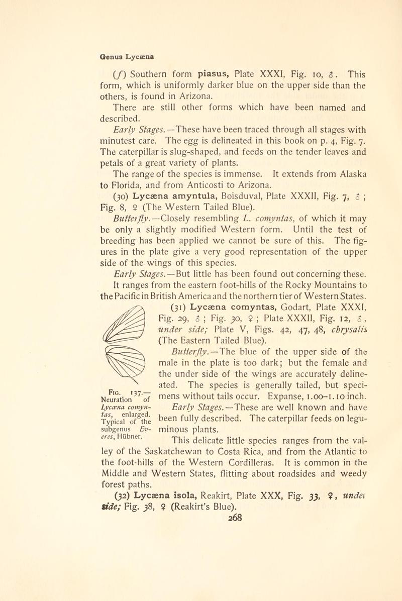 The butterfly book (Page 268, Fig. 137) BHL4428711