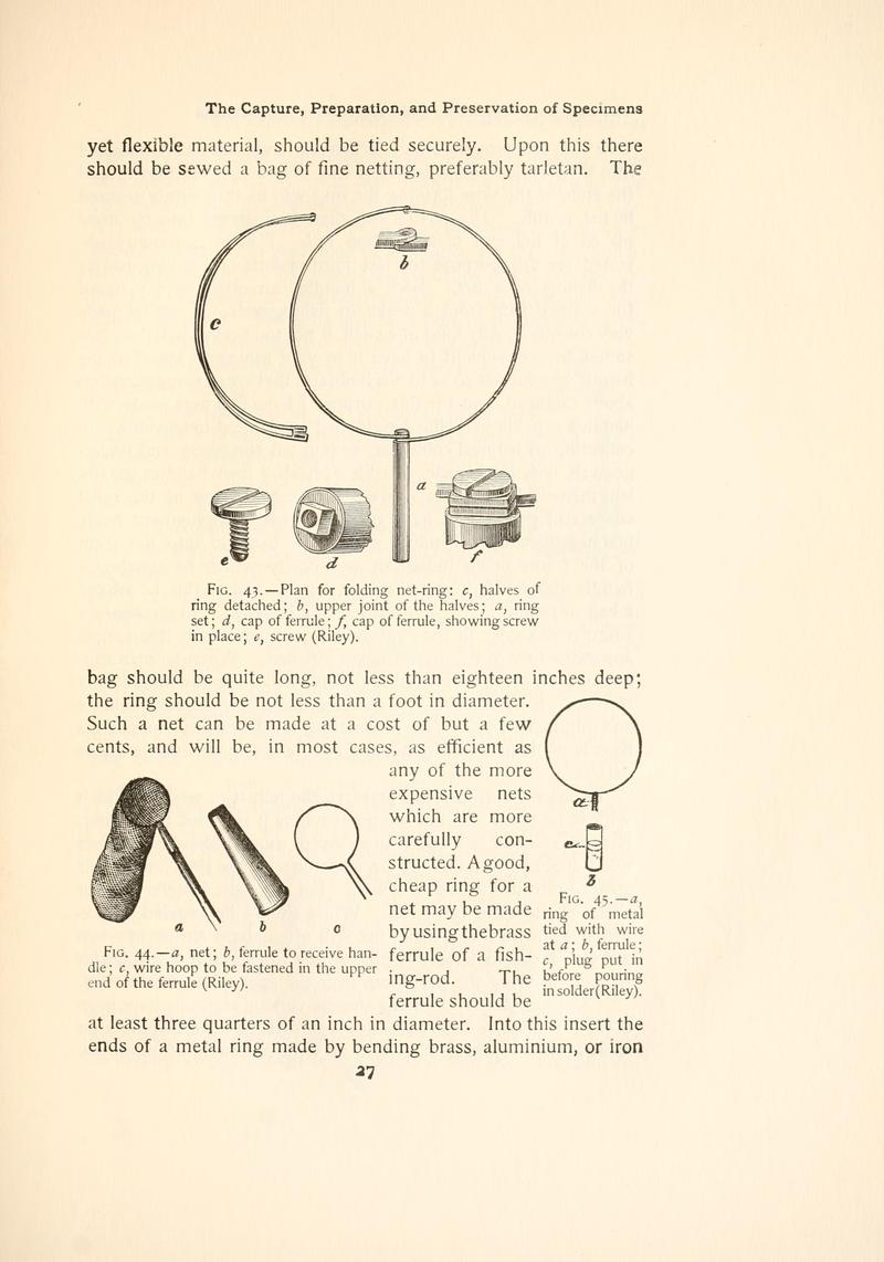 The butterfly book (Page 27, Figs. 43-45) BHL4428458