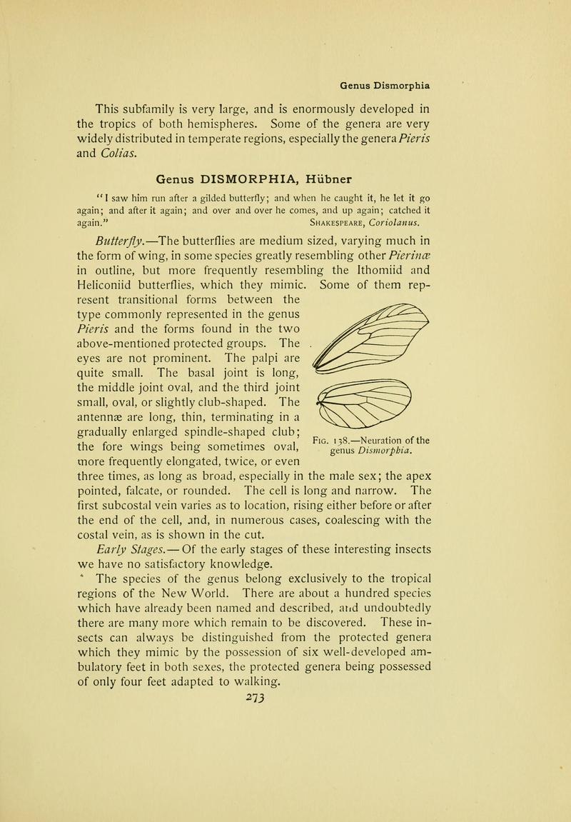 The butterfly book (Page 273) BHL10081381