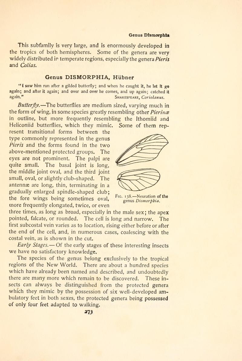 The butterfly book (Page 273, Fig. 138) BHL4428734