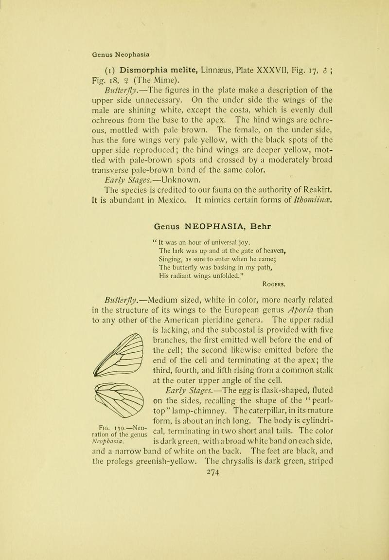 The butterfly book (Page 274) BHL10081382
