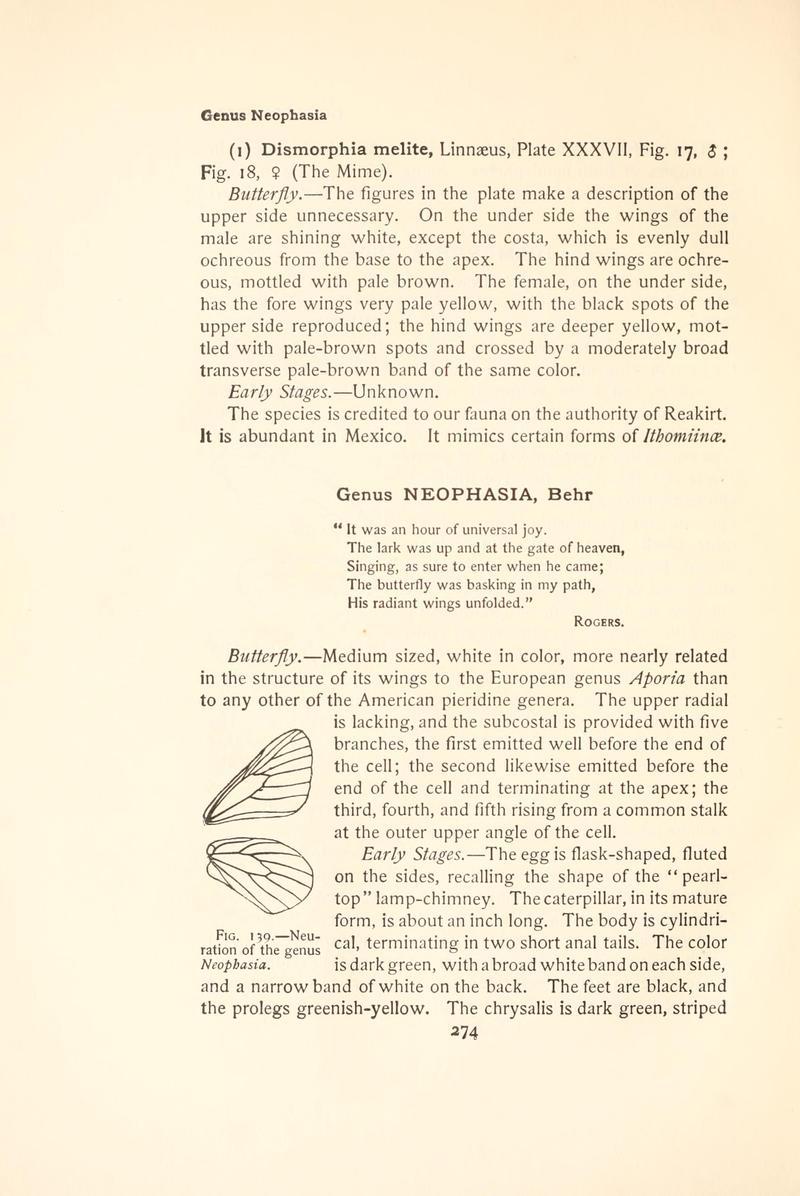 The butterfly book (Page 274, Fig. 139) BHL4428735