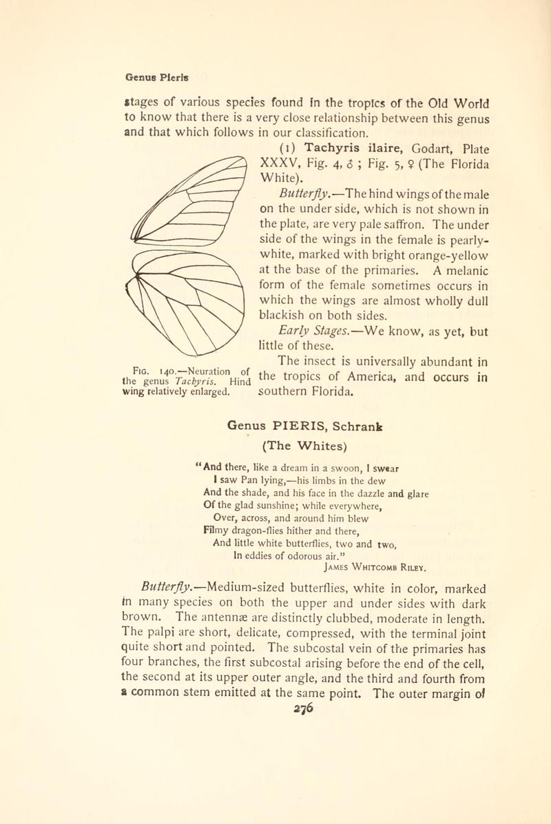 The butterfly book (Page 276, Fig. 140) BHL4428744