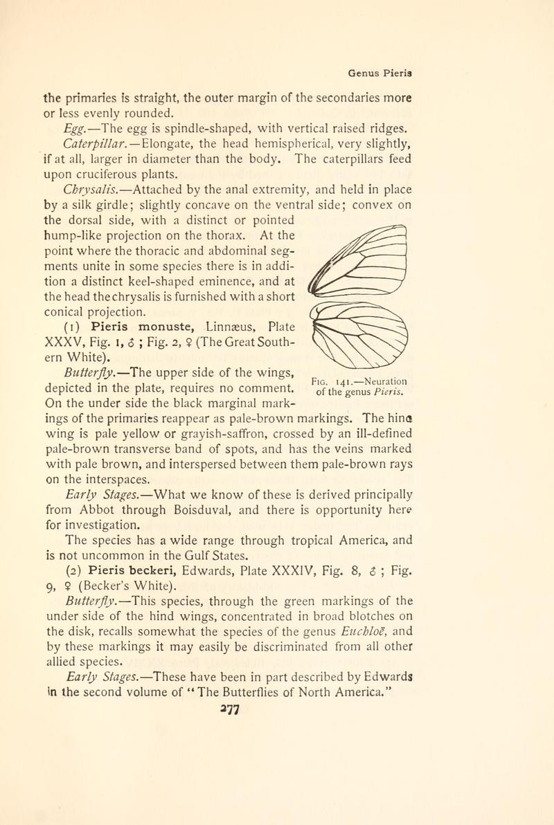 The butterfly book (Page 277, Fig. 141) BHL4428745
