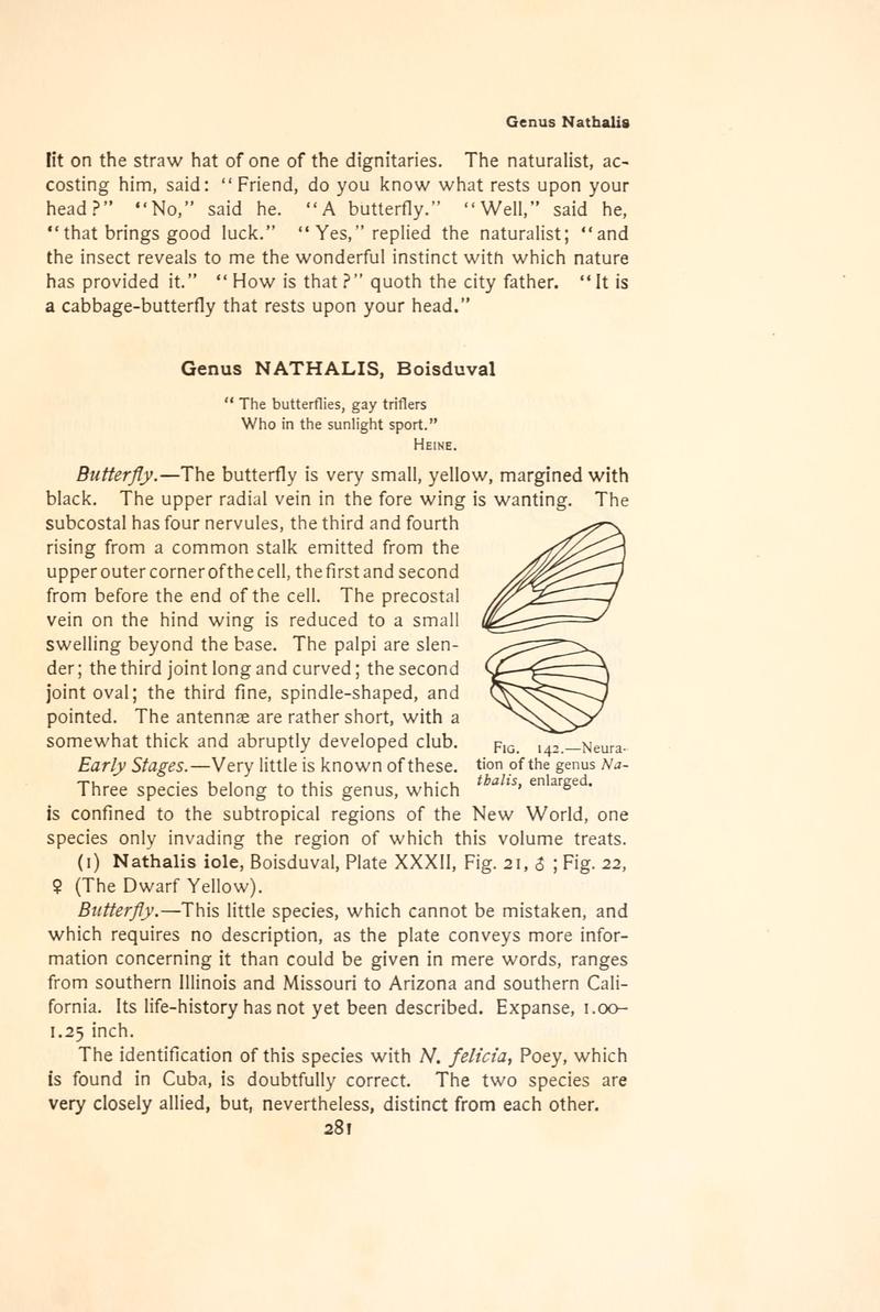 The butterfly book (Page 281, Fig. 142) BHL4428753