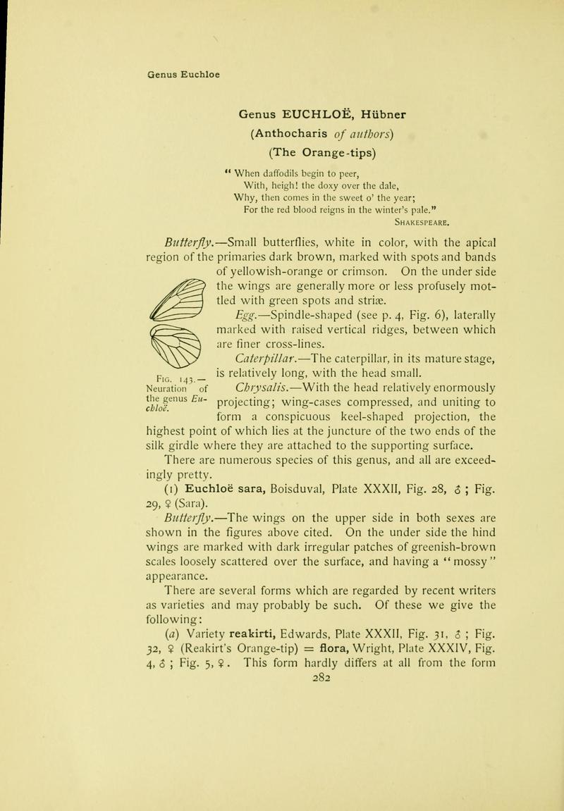 The butterfly book (Page 282) BHL10081394