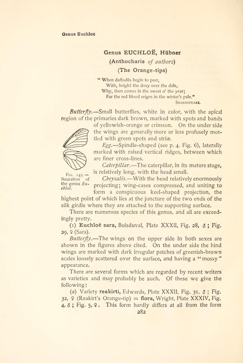 The butterfly book (Page 282, Fig. 143) BHL4428754