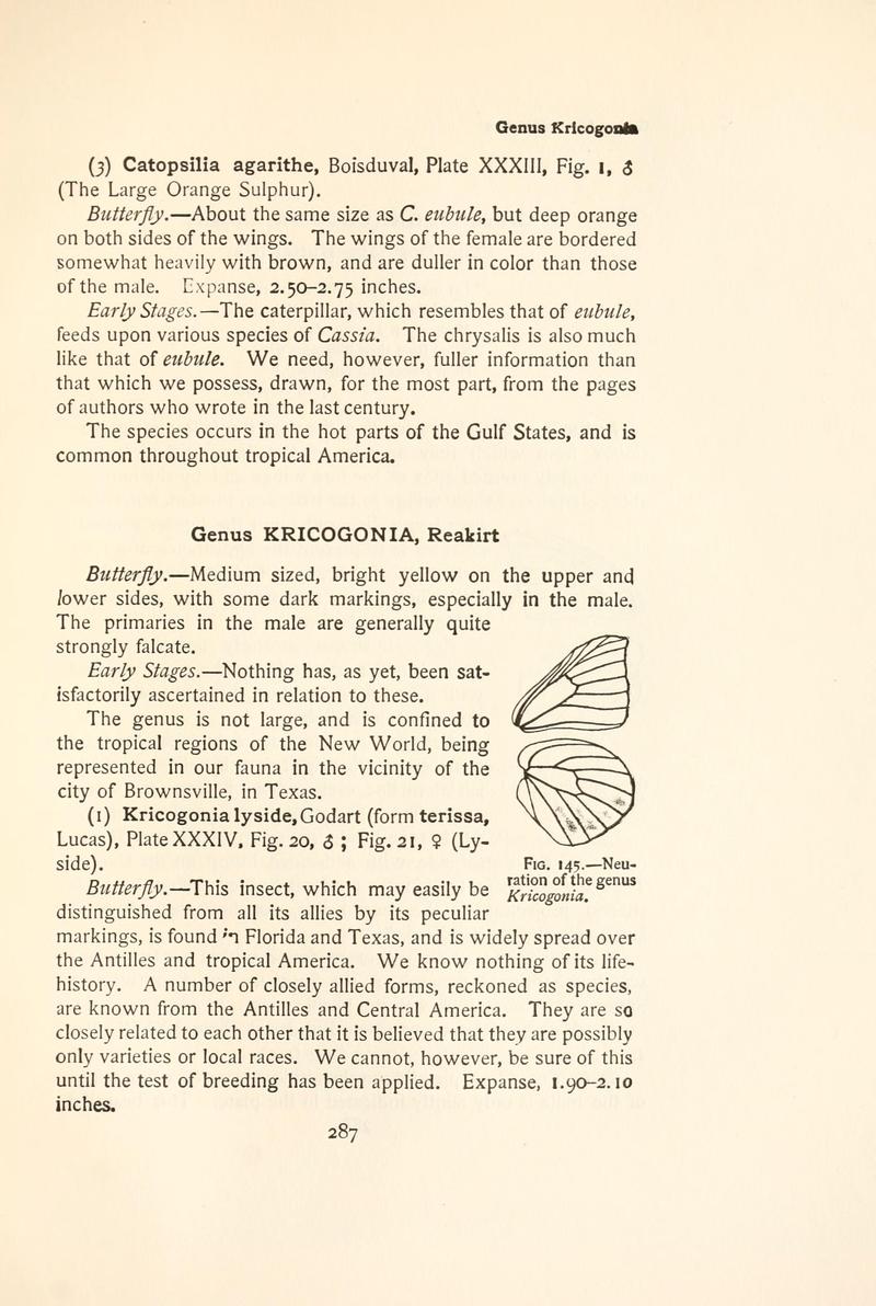 The butterfly book (Page 287, Fig. 145) BHL4428773
