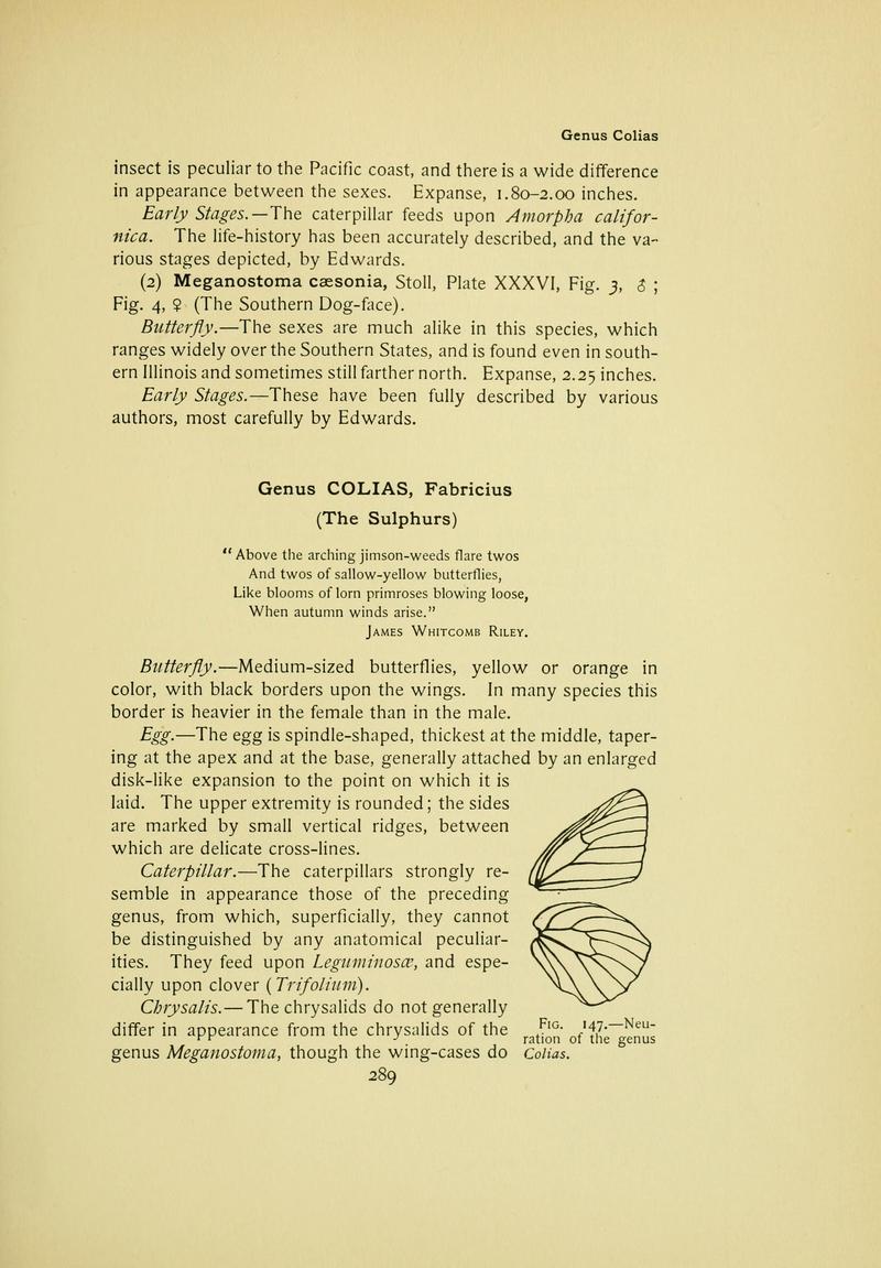 The butterfly book (Page 289) BHL10081405