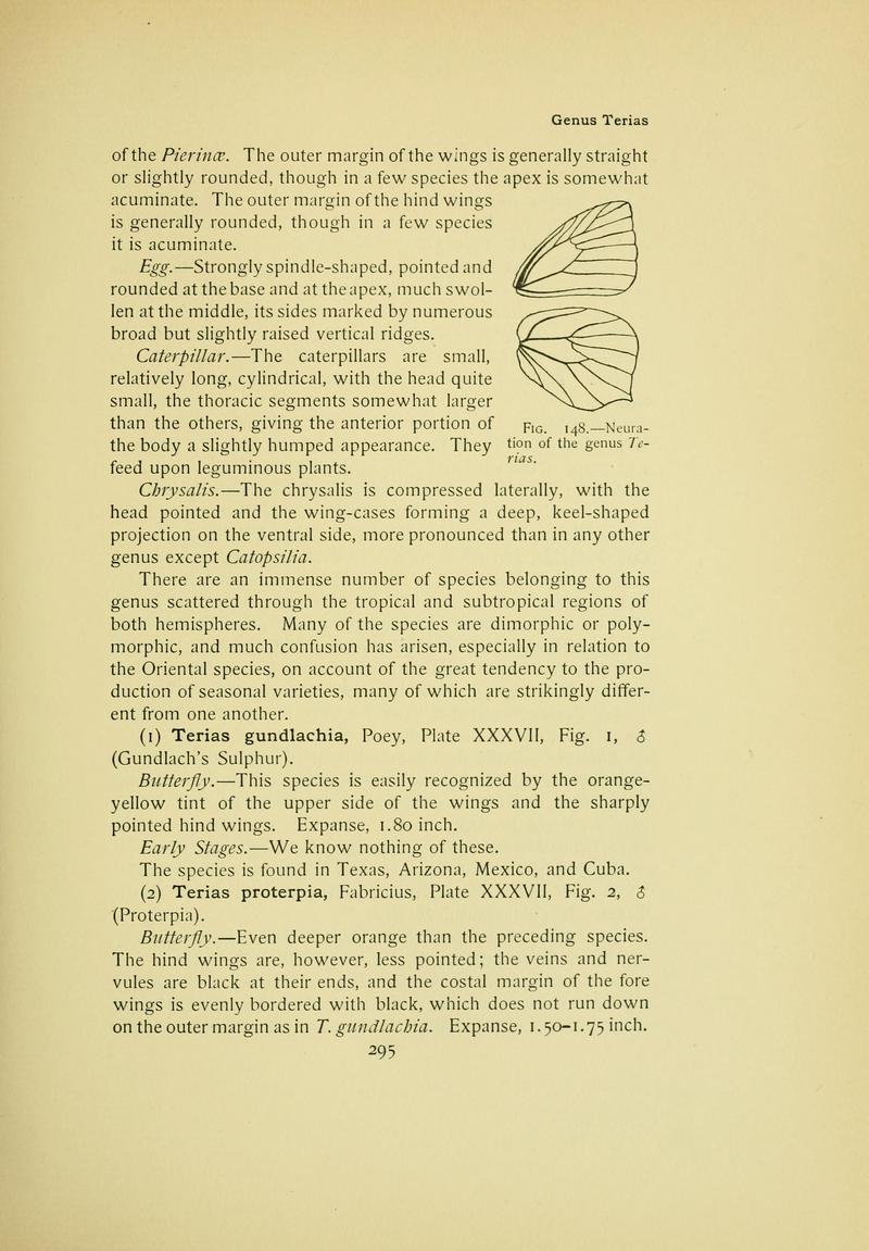 The butterfly book (Page 295) BHL10081415