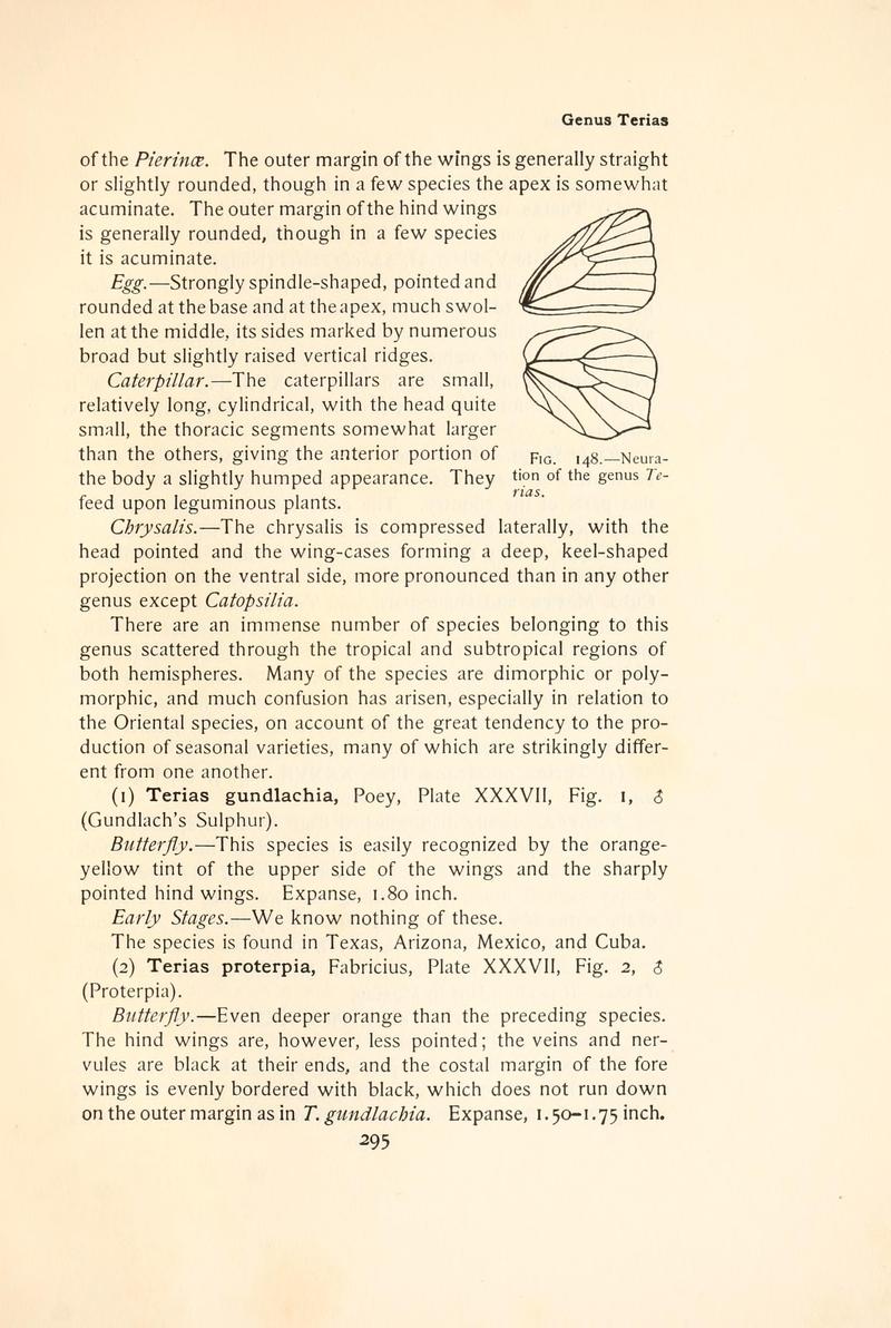 The butterfly book (Page 295, Fig. 148) BHL4428789