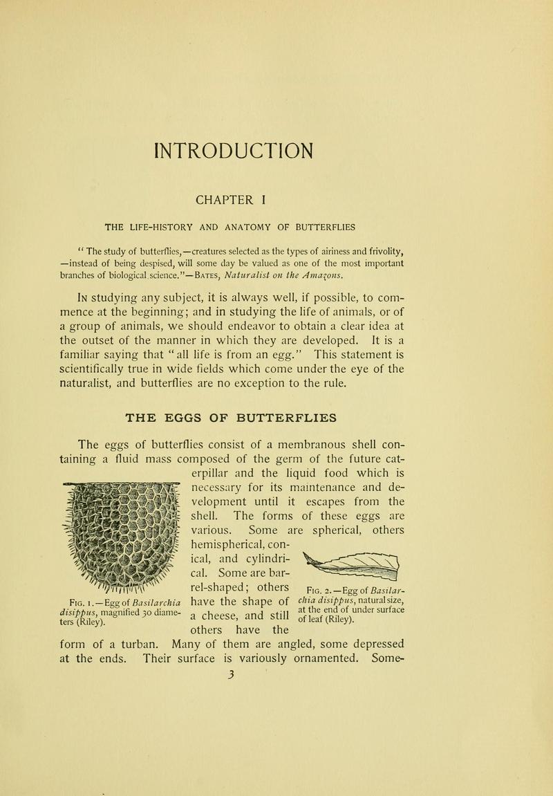 The butterfly book (Page 3) BHL10080960