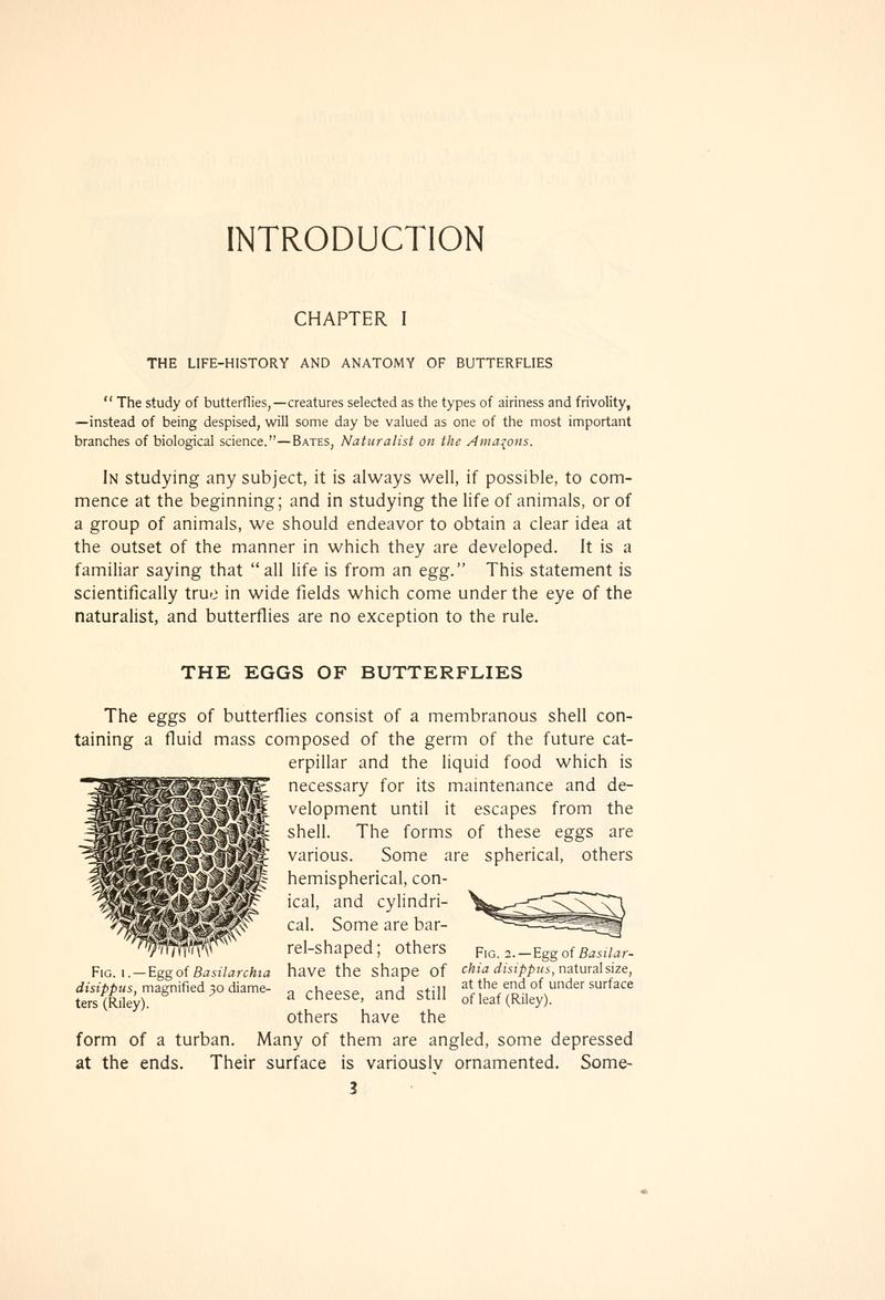 The butterfly book (Page 3, Figs. 1-2, Chapter I) BHL4428590