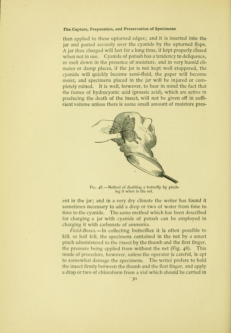 The butterfly book (Page 30) BHL10081018