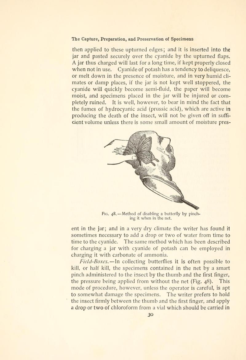 The butterfly book (Page 30, Fig. 48) BHL4428461