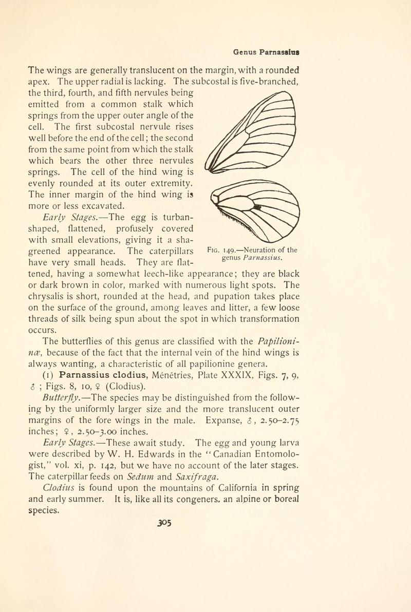 The butterfly book (Page 305, Fig. 149) BHL4428807