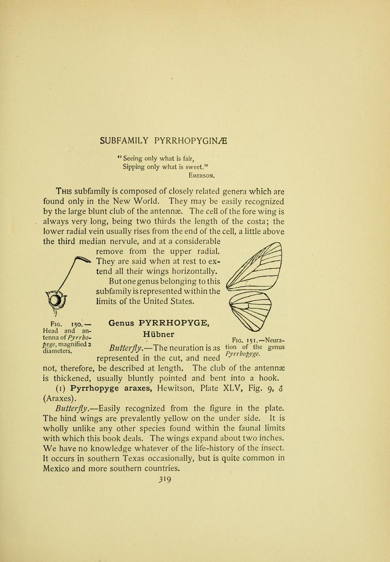 The butterfly book (Page 319) BHL10081467