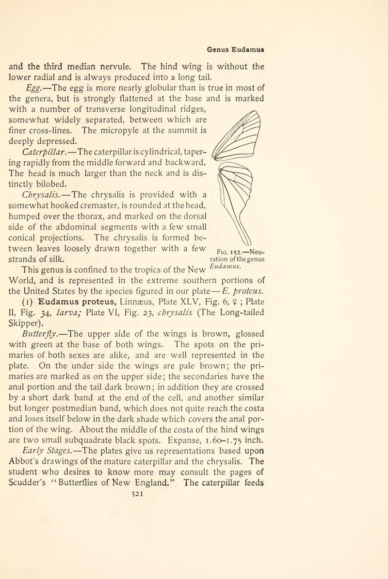 The butterfly book (Page 321, Fig. 152) BHL4428874