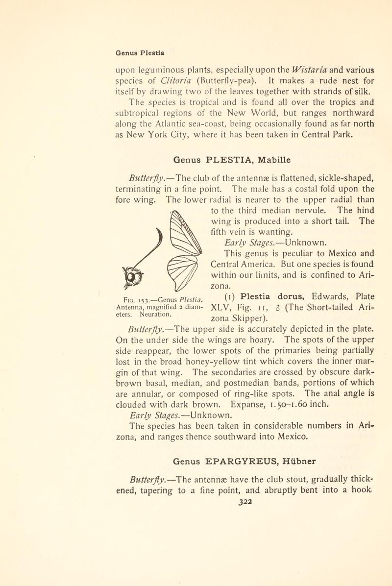 The butterfly book (Page 322, Fig. 153) BHL4428875