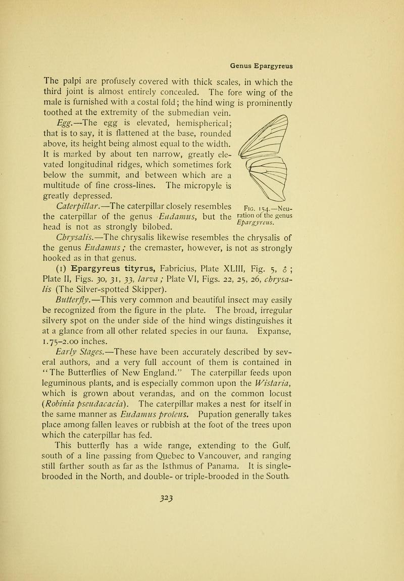The butterfly book (Page 323) BHL10081475
