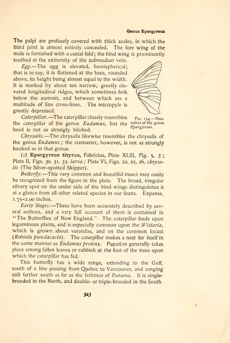 The butterfly book (Page 323, Fig. 154) BHL4428880