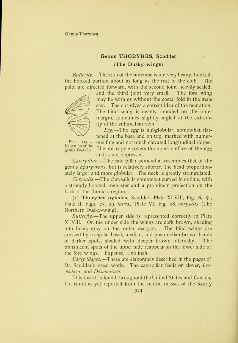 The butterfly book (Page 324) BHL10081476