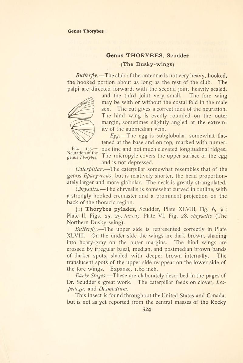 The butterfly book (Page 324, Fig. 155) BHL4428881