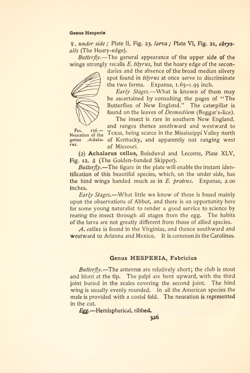 The butterfly book (Page 326, Fig. 156) BHL4428883