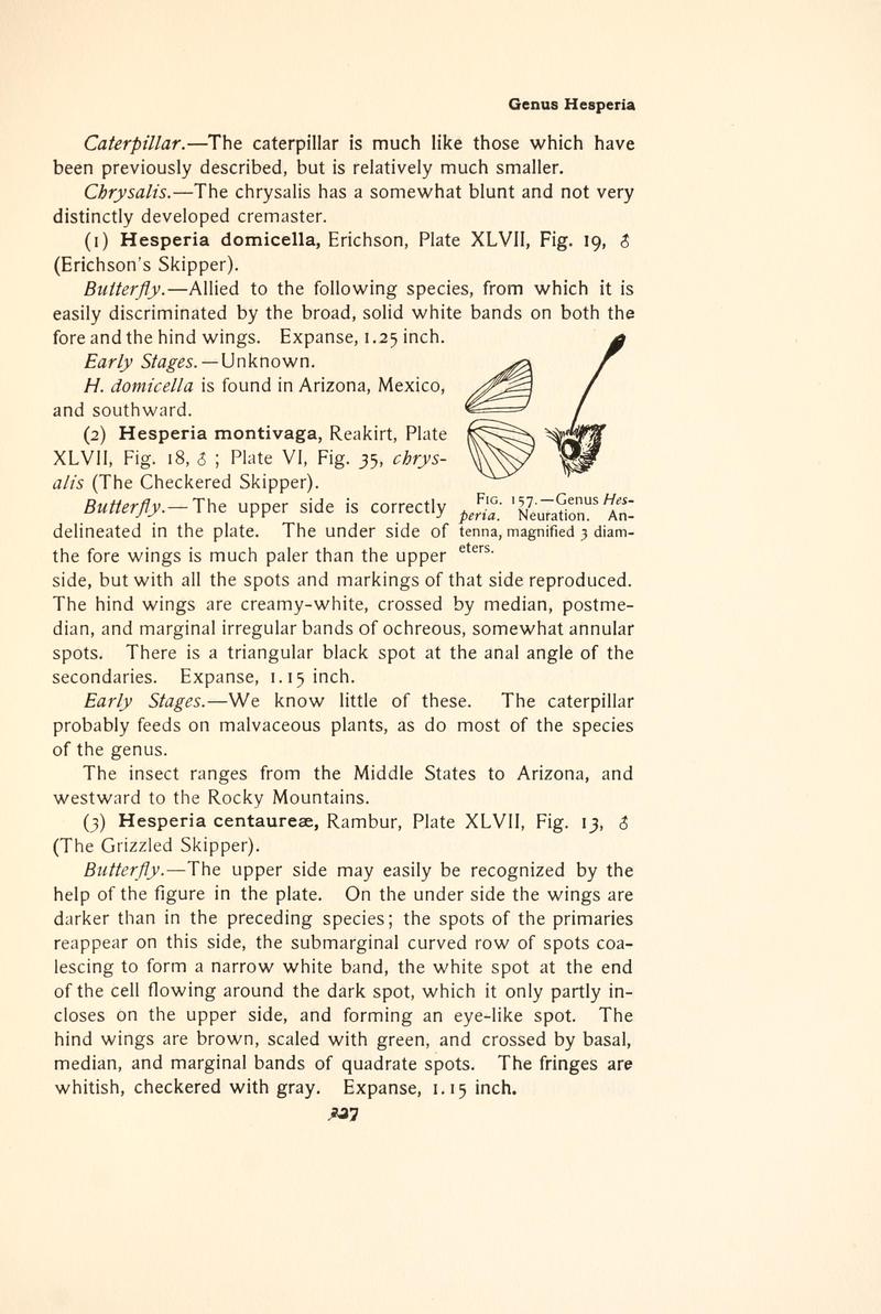 The butterfly book (Page 327, Fig. 157) BHL4428884