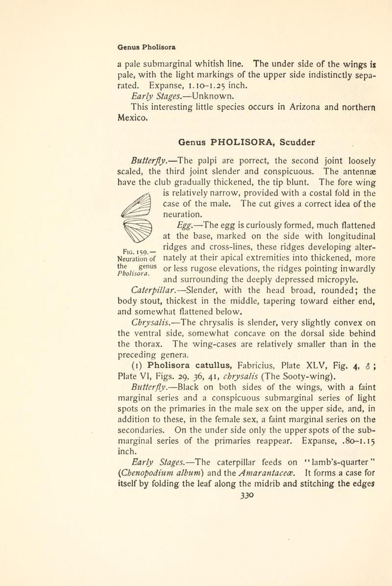 The butterfly book (Page 330, Fig. 159) BHL4428887